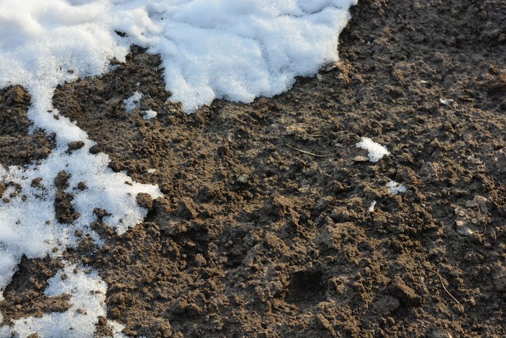 Nová záhrada  - kryoturbácia